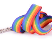 Scottish Parliament bans rainbow lanyards following accusations of ‘bias’