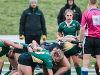 Rugby refs quit game over trans players