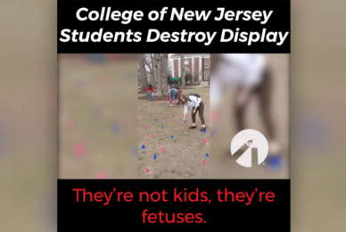 Vandals destroy pro-life display on US campus