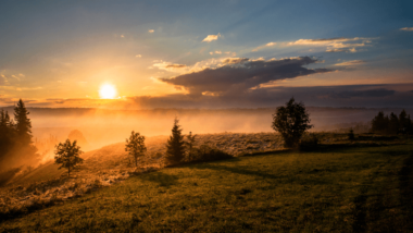 Sunset