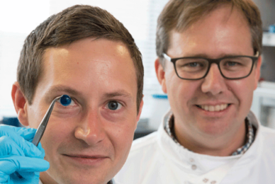 Scientists use adult stem cells – and seaweed – to grow corneas