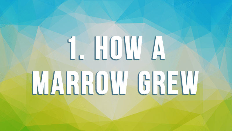 1. How a Marrow Grew