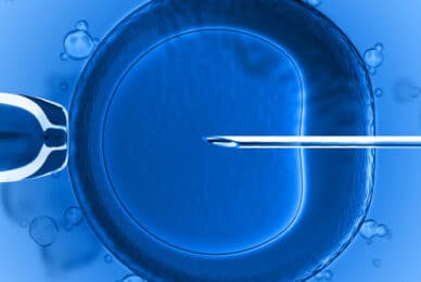 US doc warned not to market three-parent baby technique