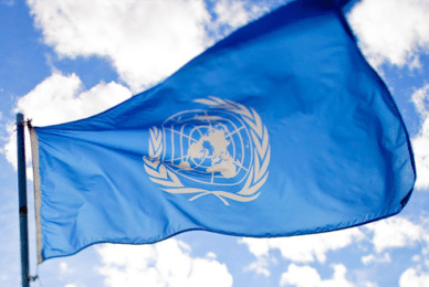 UN downplays cannabis danger