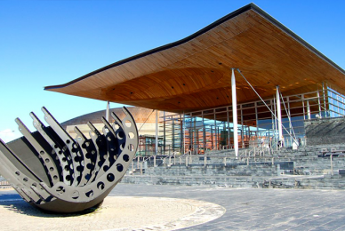 Gender self-ID candidate list for Senedd may be illegal