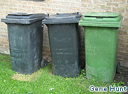 Wheelie bin survey asks residents to declare sexuality