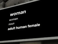 Women’s rights campaigner arrested for ‘Woman = Adult Human Female’ posters