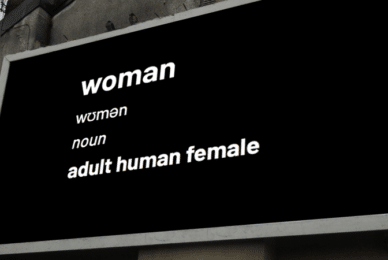 Women’s rights campaigner arrested for ‘Woman = Adult Human Female’ posters